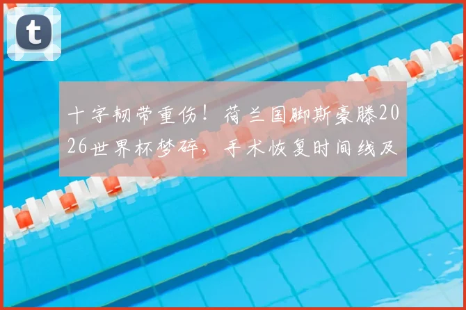 十字韧带重伤！荷兰国脚斯豪滕2026世界杯梦碎，手术恢复时间线及对荷兰队影响分析